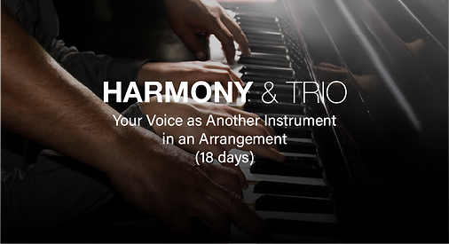 Harmony & Trio plan cover image
